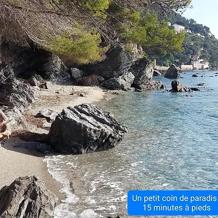 Grand T2 Vue Mer, Balcon, Plage, Resto A Pied Toulon